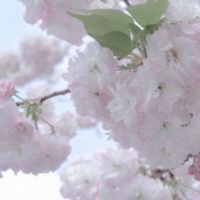 Furry插画细节提升技巧Furry群